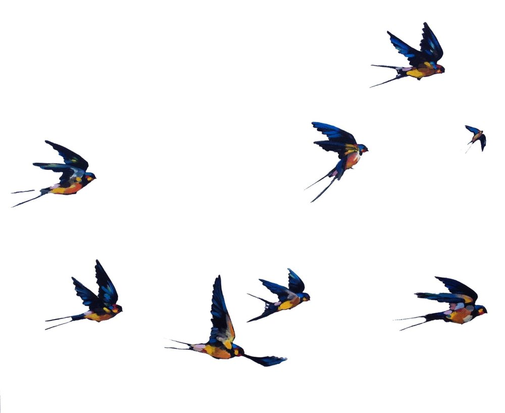 Ласточка сидит акварель