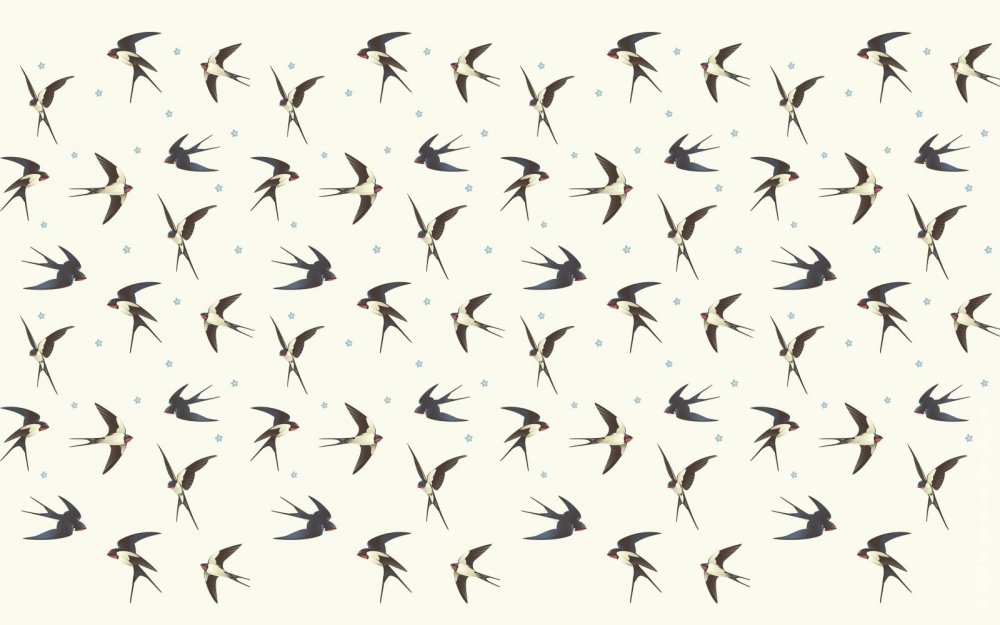 Ласточка фэнтези