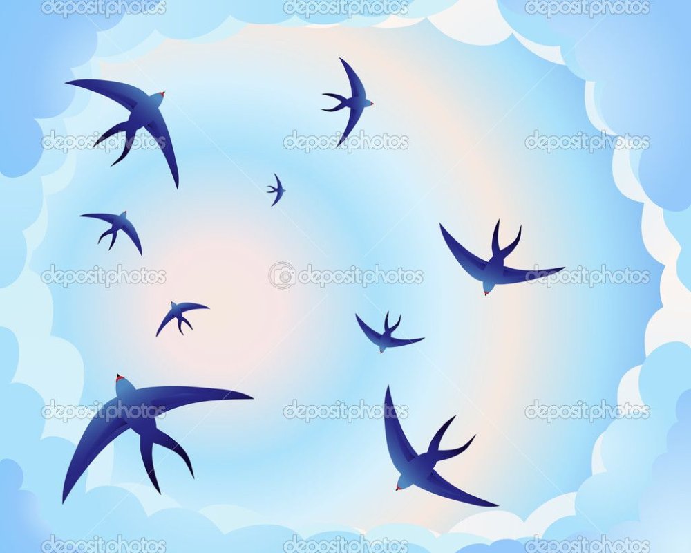 Ласточка Минимализм