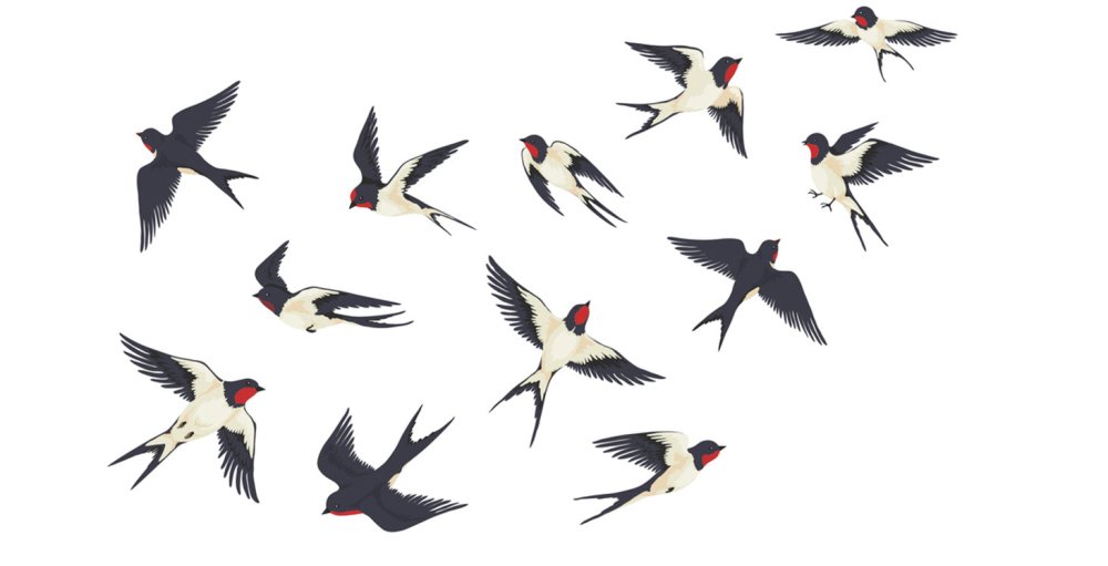 Иллюстрации с ласточкой в небе