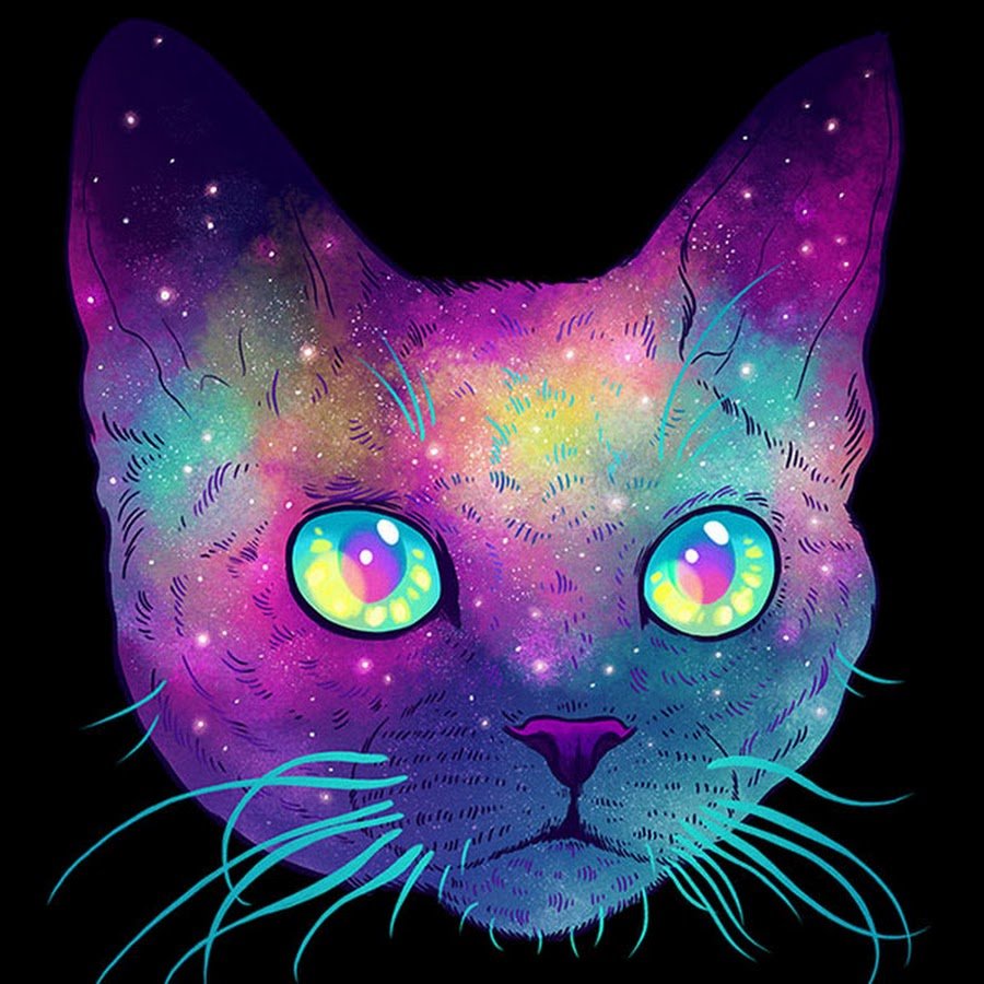 Кот в космосе