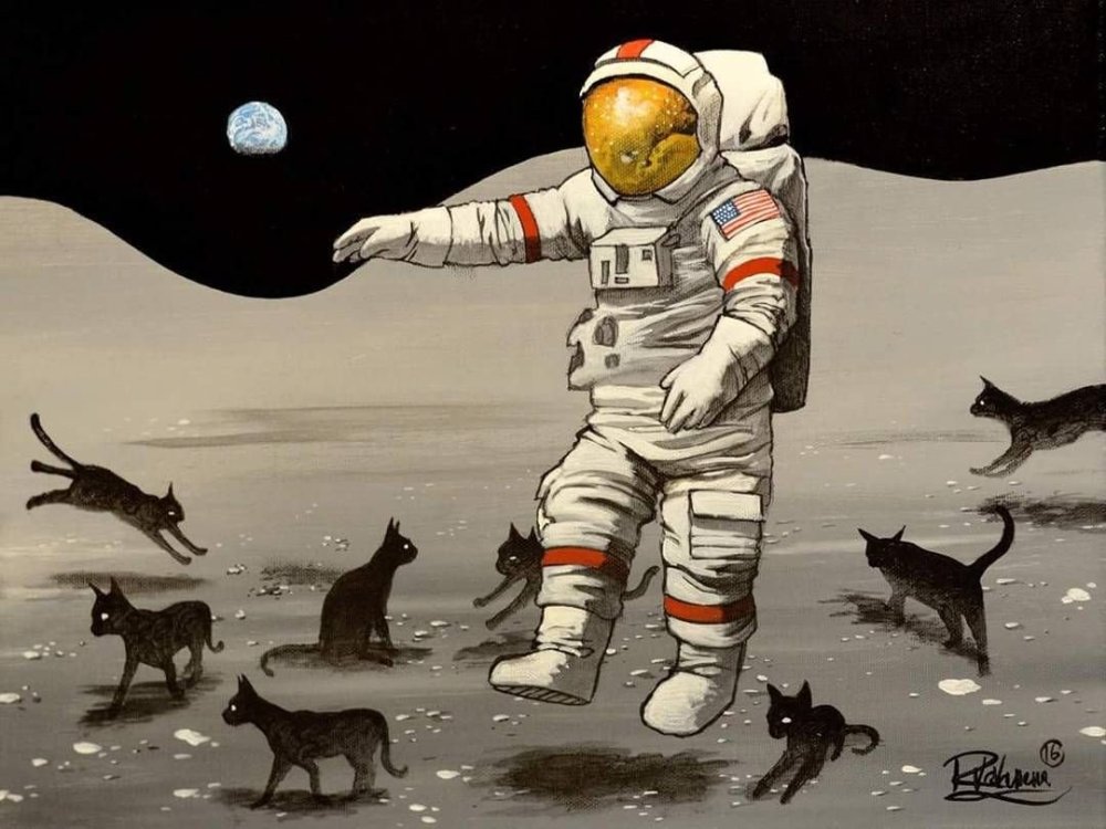 Кот космонавт на Луне