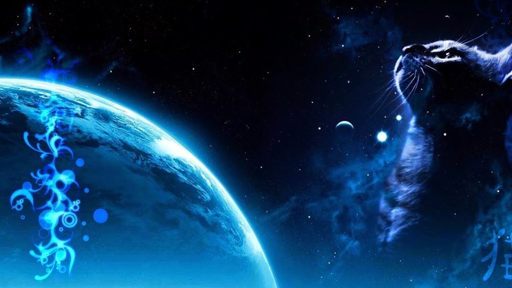 Космическая кошка