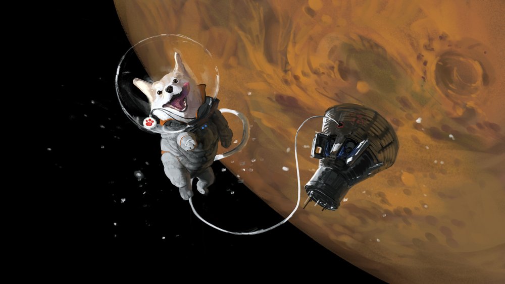 Собака в скафандре