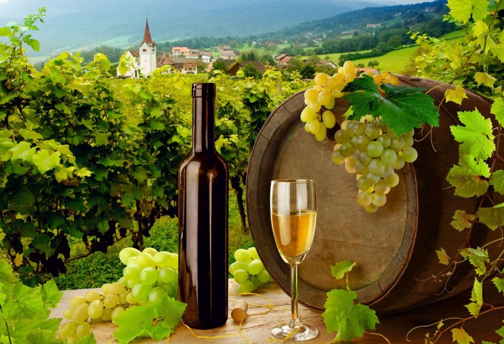 Фреска виноградник