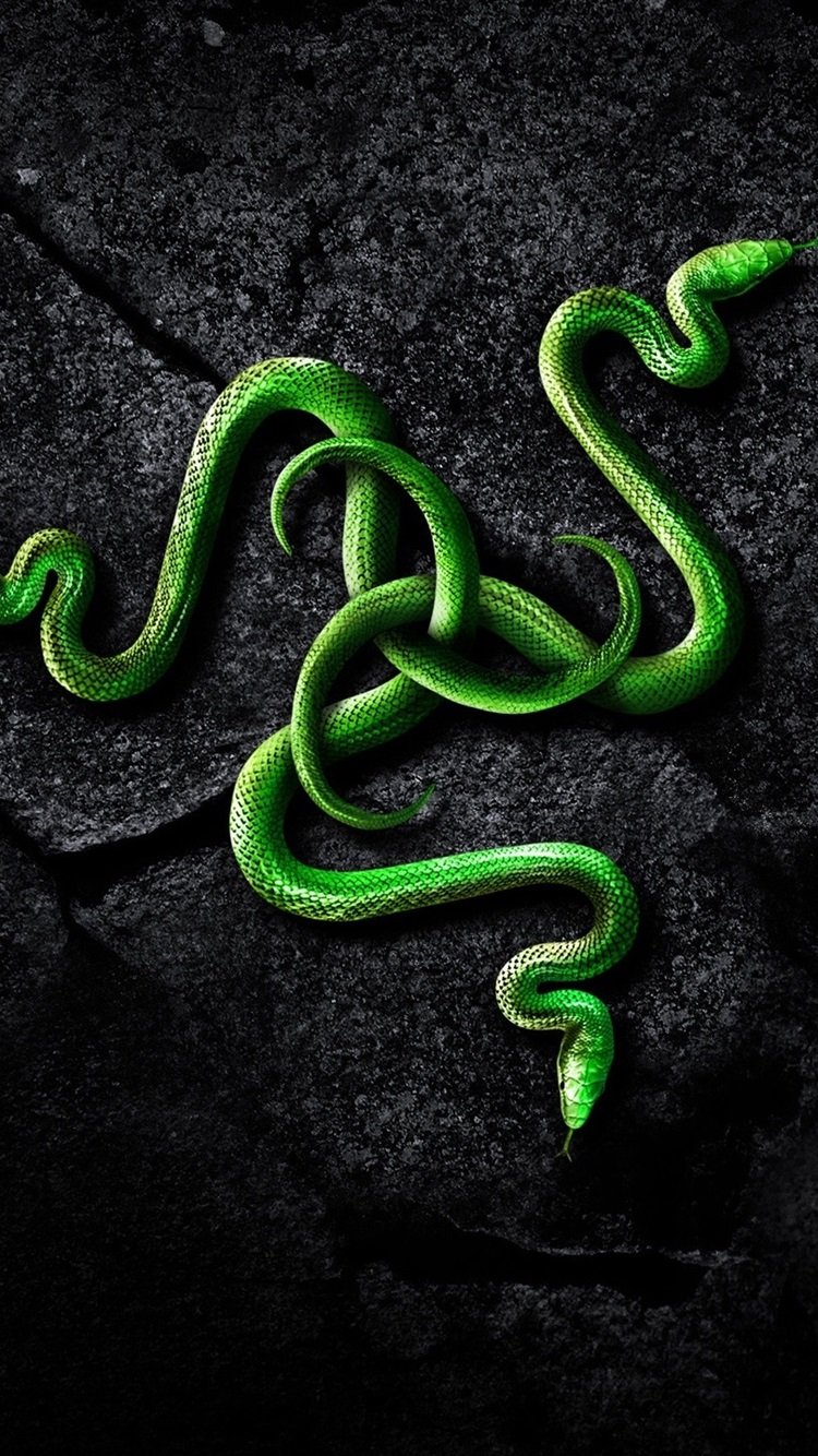 Змея рейзер