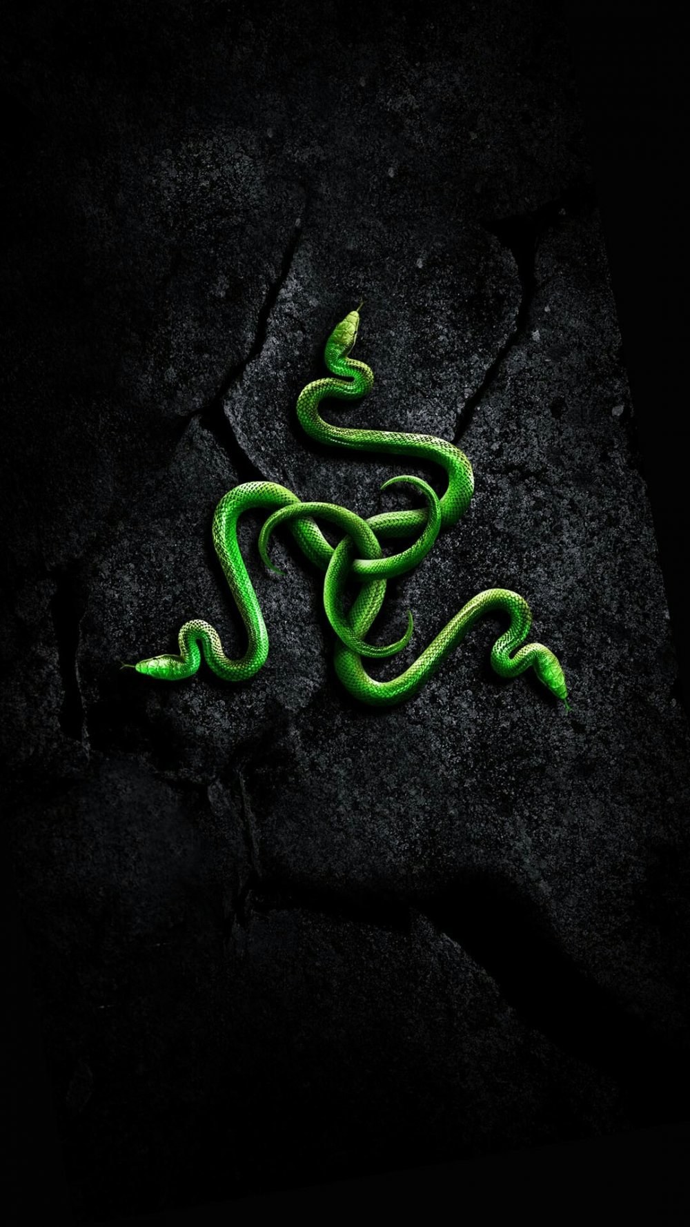 Бумсланг Гарри Поттер