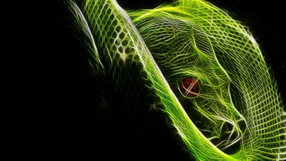 Змеи Фракталы