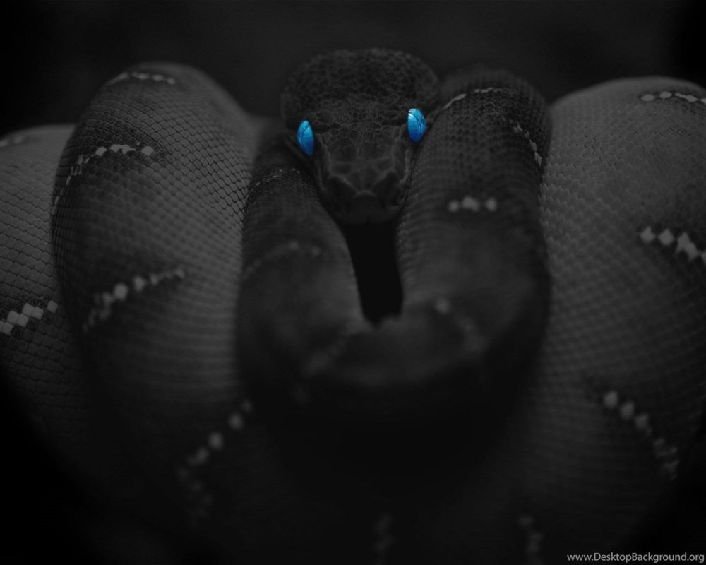 Черно зеленые змеи