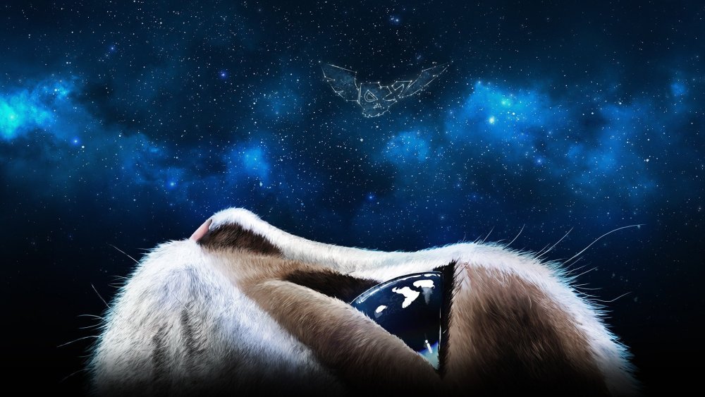 Фон в кошачьем стиле