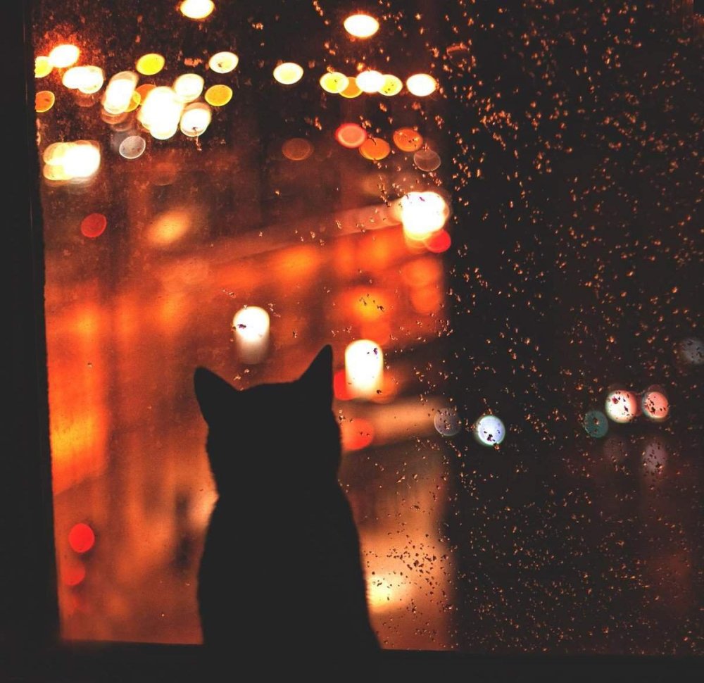 Удивительные иллюстрации от художника Rihards Donskis (apofiss)