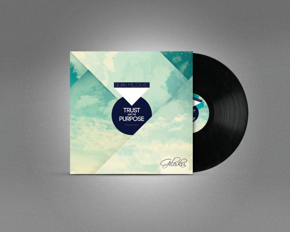 Виниловые обложки