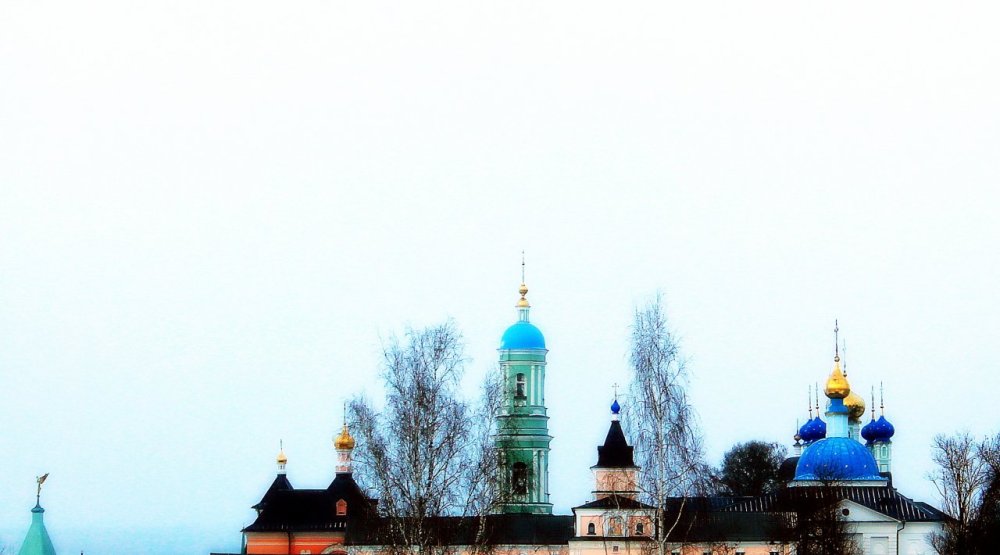 Оптинская пустынь купола
