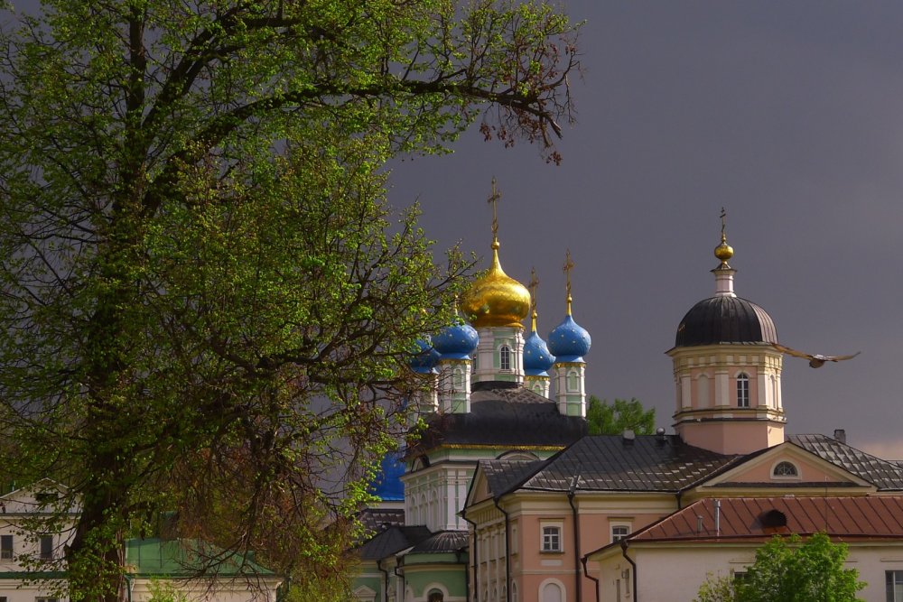 Оптина пустынь братия