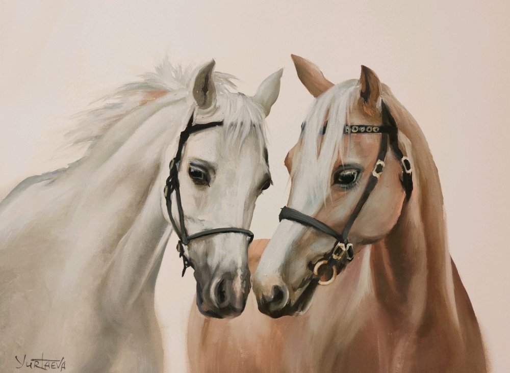 Влюбленные лошади