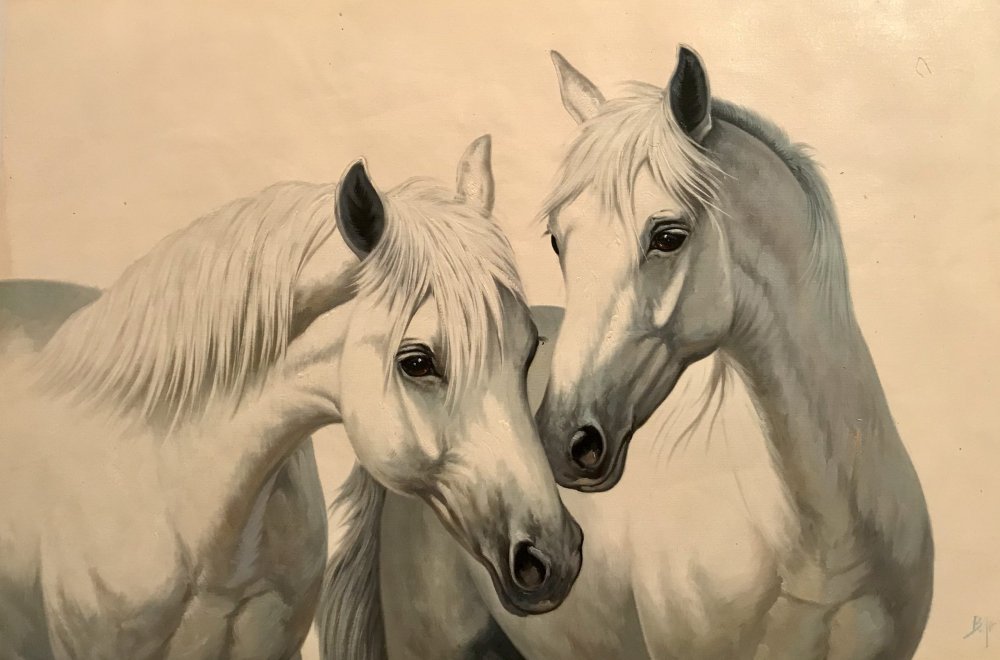 Уздечка для лошади красивая