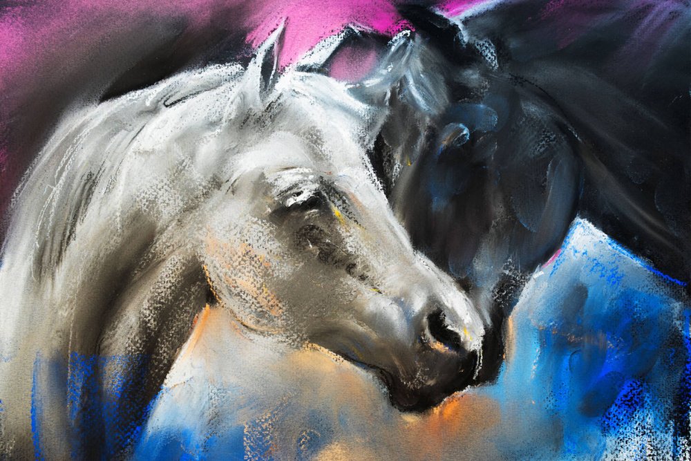 Лошадь черный