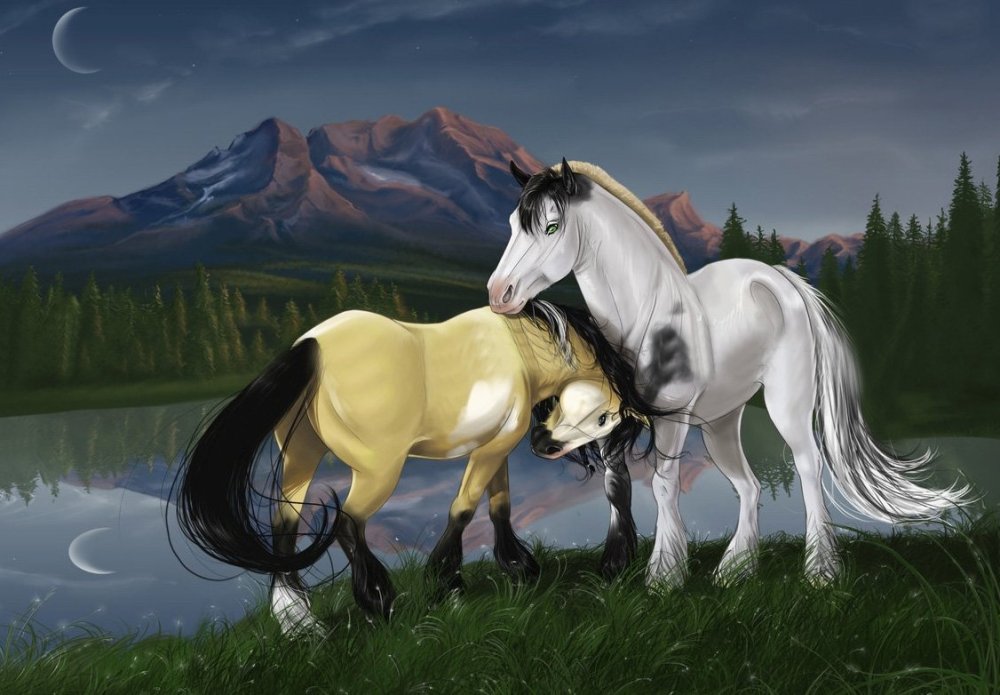 Ахалтекинская лошадь обои