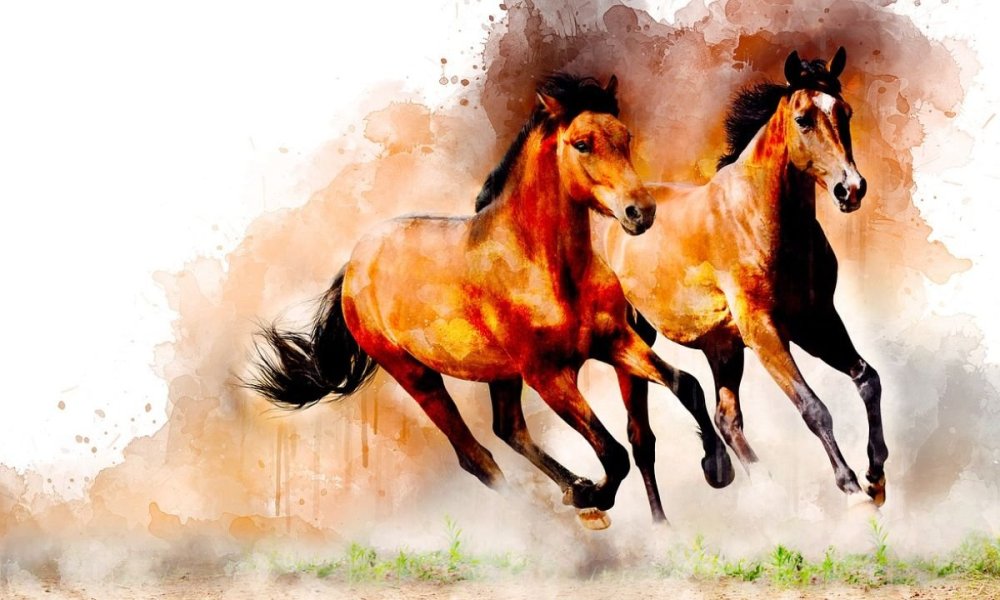 Кони на закате семья