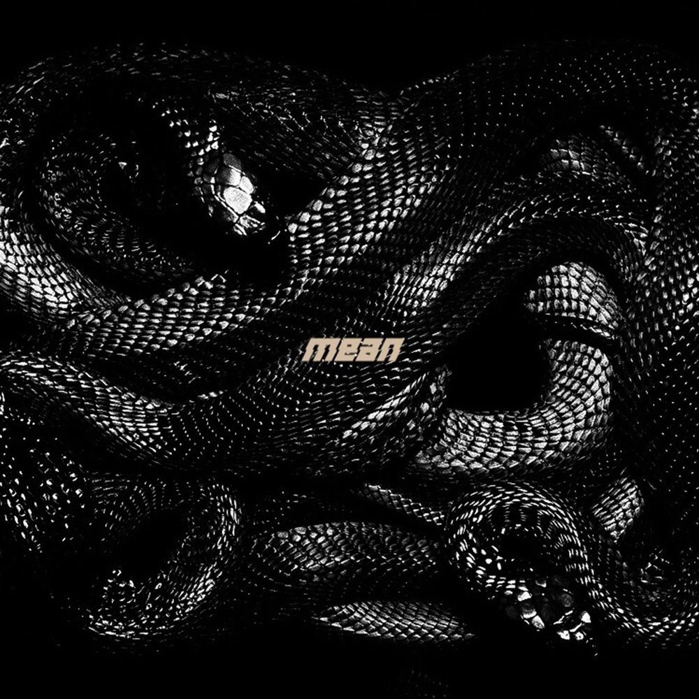 Змеиный клубок женский коллектив