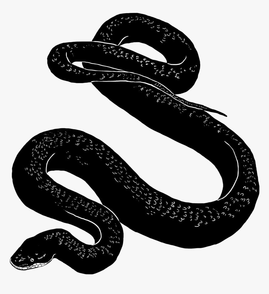 Стилизация змеи