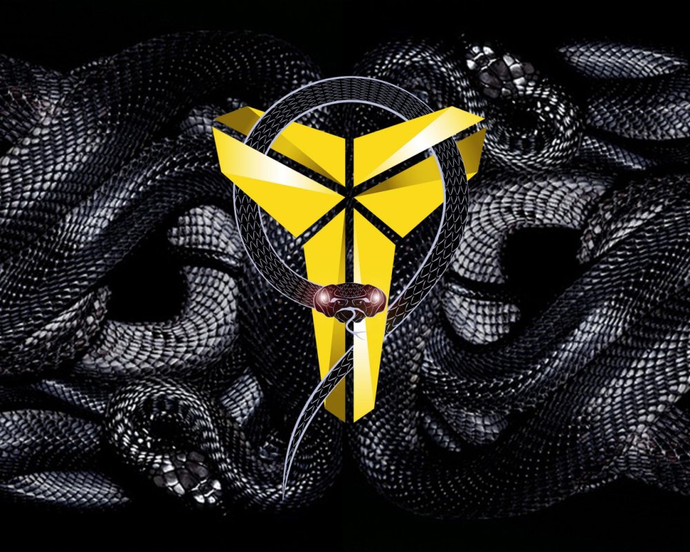 Блейк Снейк чёрная змея