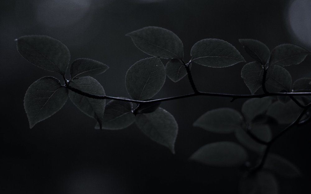 Обои на рабочий стол темные