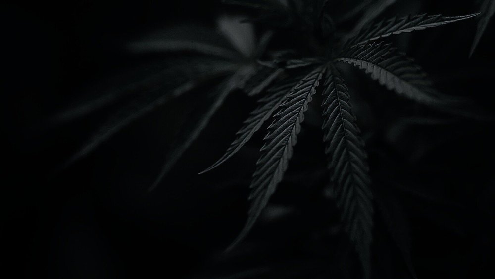 Обои на рабочий стол темные