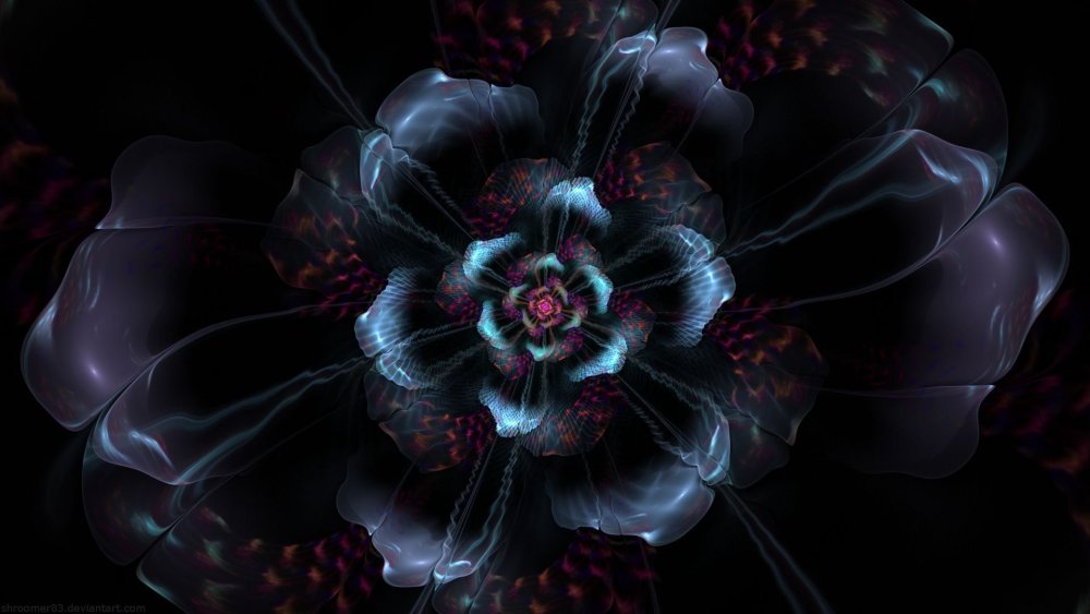 Цветы на черном фоне