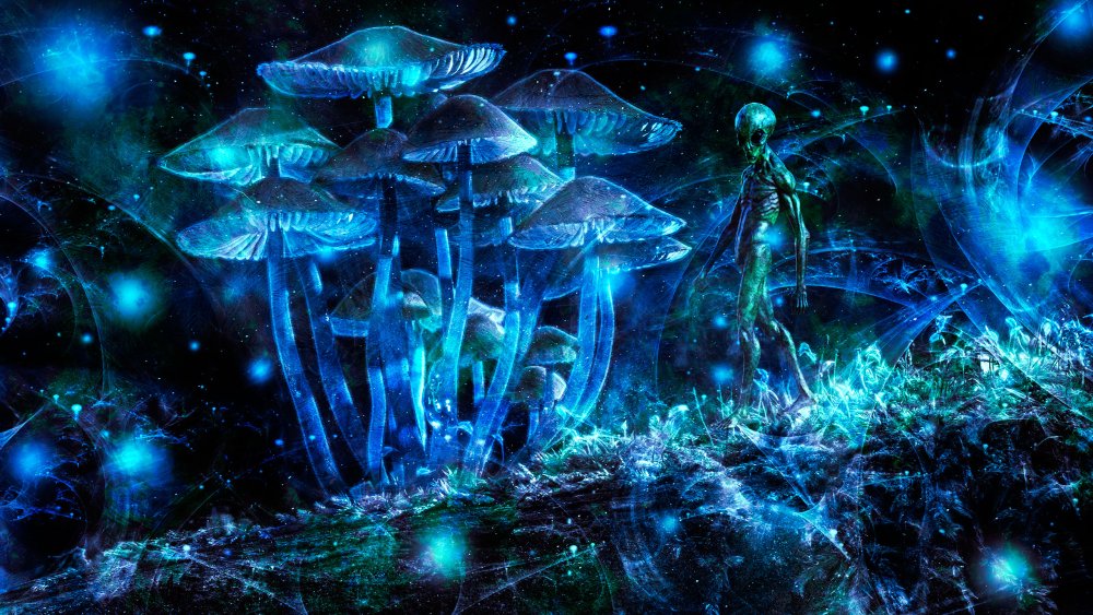 Алиса в стране чудес грибы