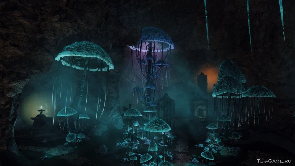 Светящиеся грибы