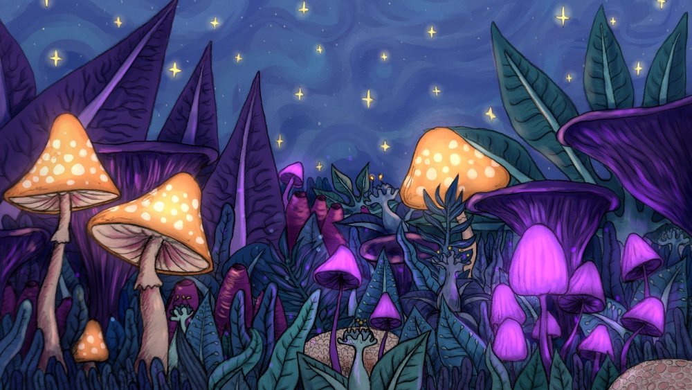 Сказочный лес