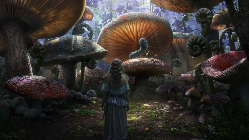 Фантастические грибы