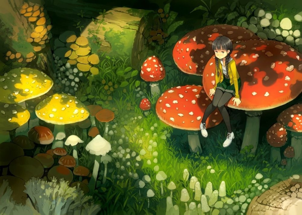 Фантастические грибы