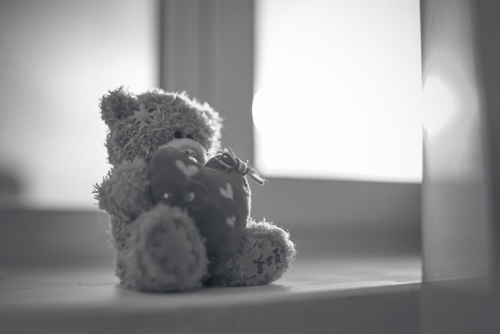 Тедди у окна