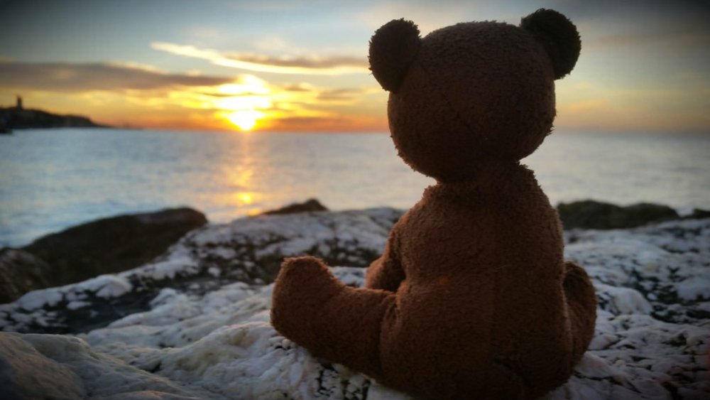 Мишка Тедди