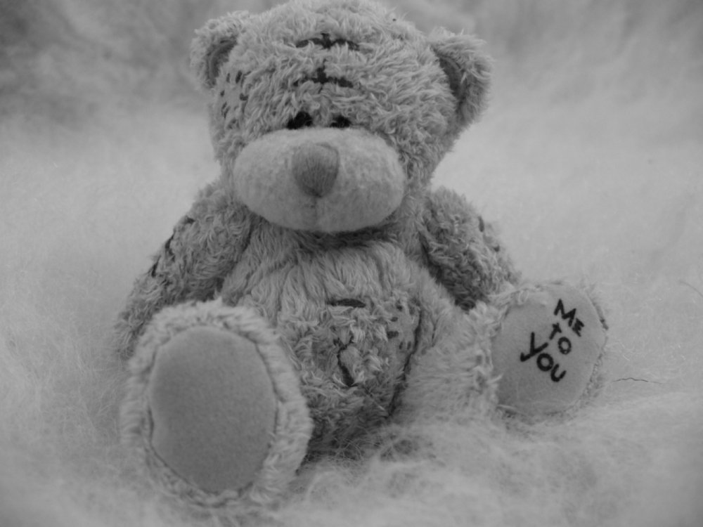 Фон с мишками