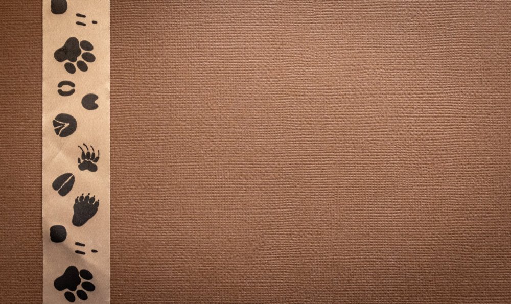 Бежевые обои на ПК