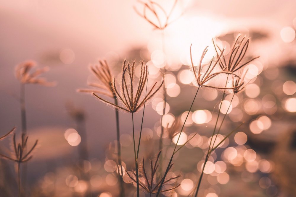 Эстетика коричневого