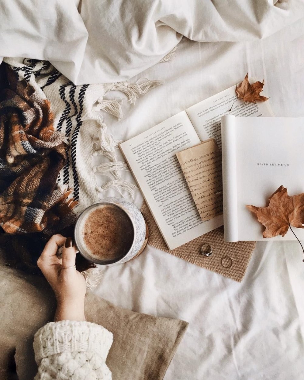 Эстетика коричневого цвета