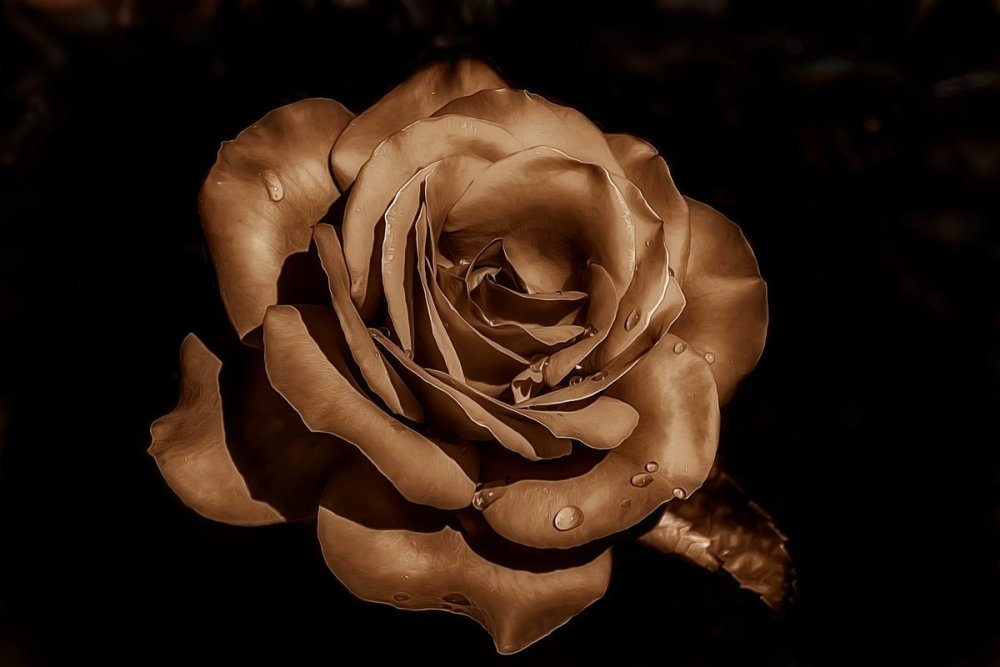 Коричневый фон Эстетика