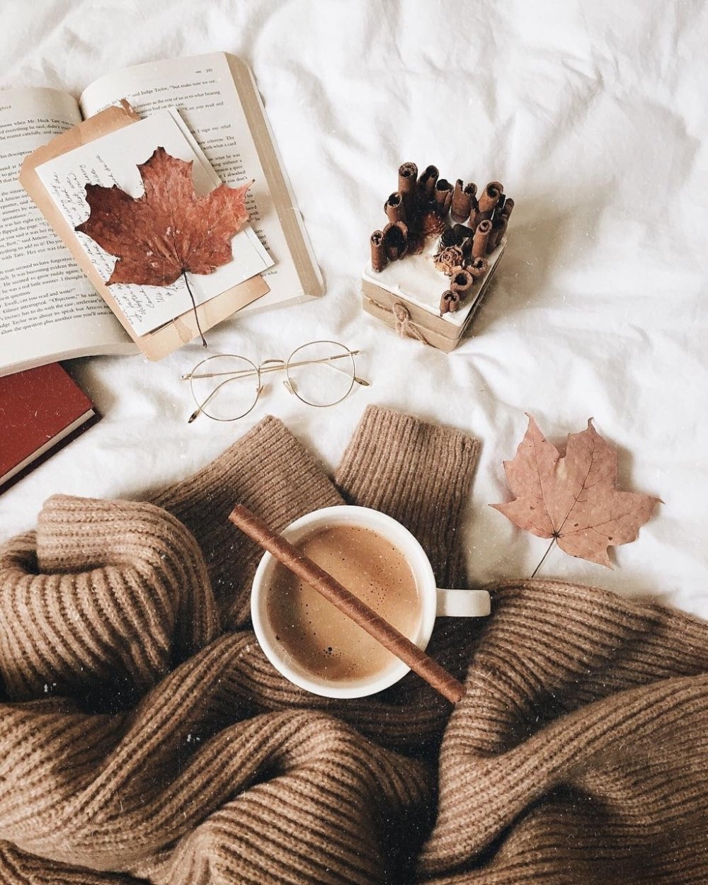 Эстетика книг и кофе