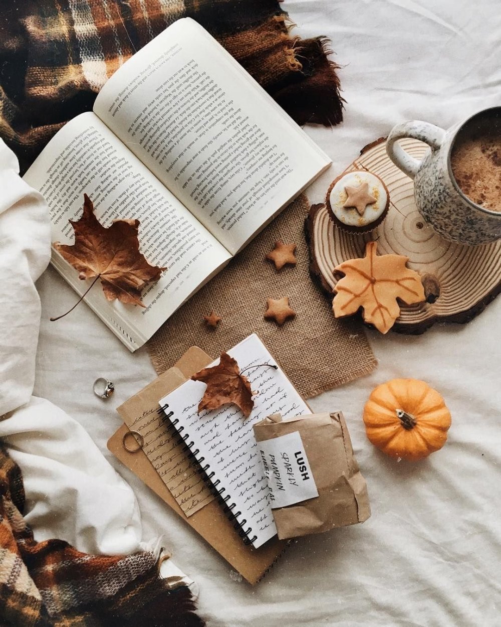 Темно коричневые цветы