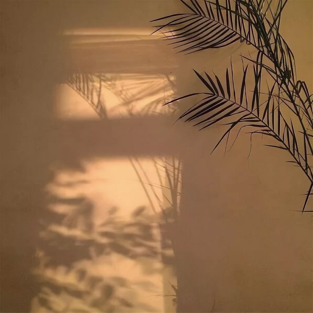 Шоколадный шелк