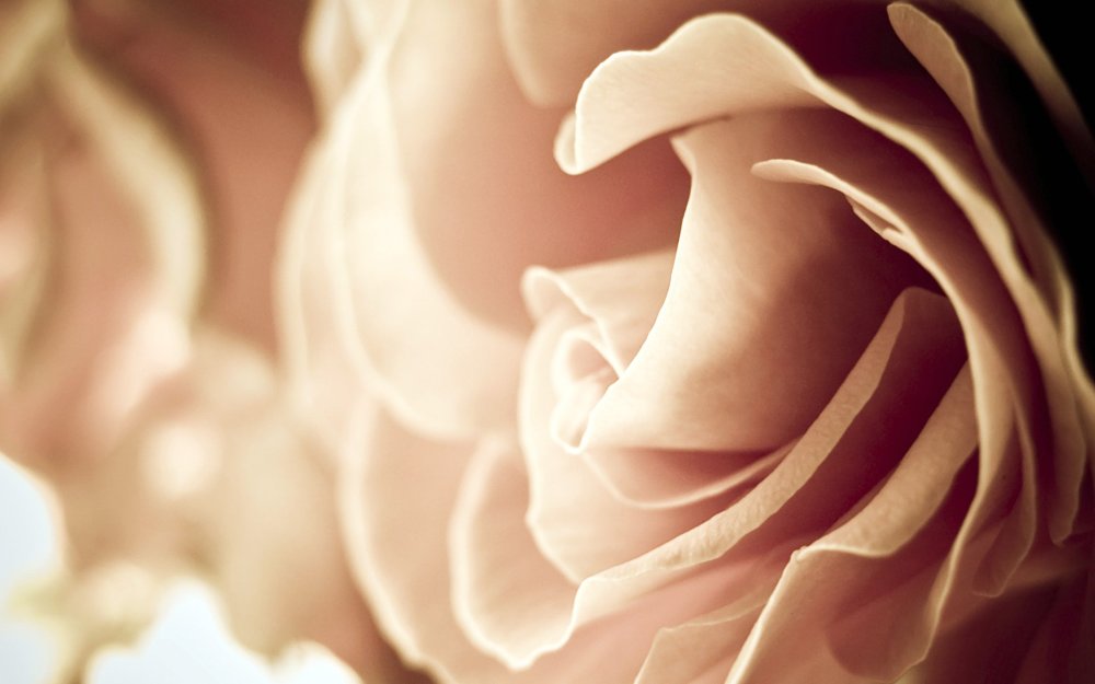 Коричневые вещи