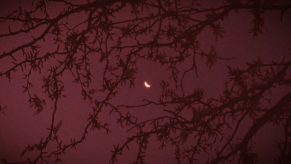 Коричневое сердечко