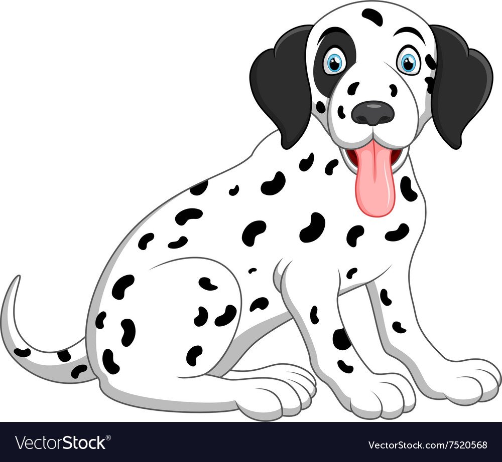 Далматинец на белом фоне