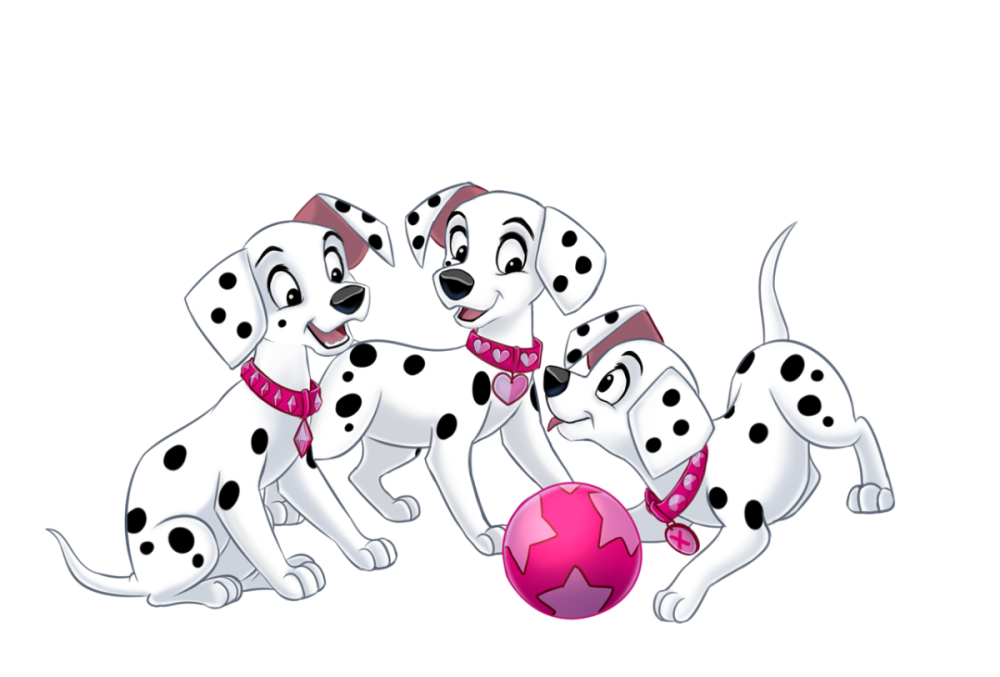 Далматин Эстетика