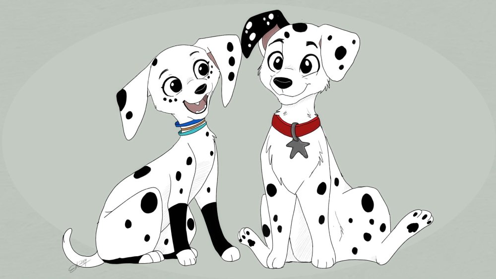 Далматинец щенок на белом фоне