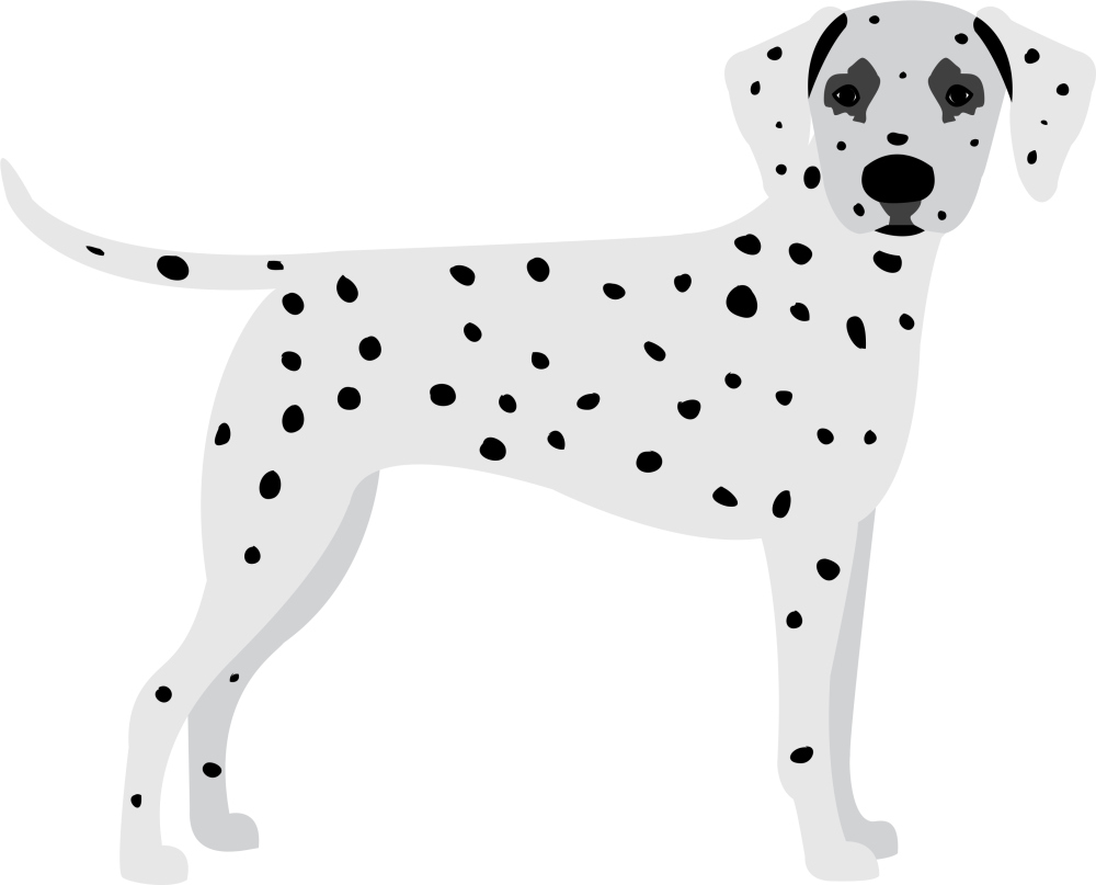 Далматинец на аву